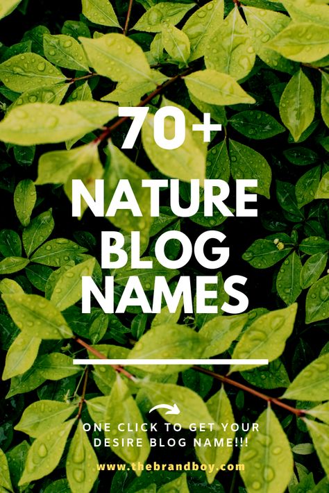 Here are Catchy and Good Nature blog names ideas for you Magazine Name Ideas, Cool Names For Instagram, Names For Companies, Names Nature, Creative Instagram Names, Youtube Channel Name Ideas, Nature Names, Group Names Ideas, Youtube Names