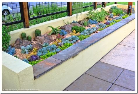 Raised bed for succulents capped with slate. Love that ribbon of blue echevarias. Succulent Garden Outdoor, Succulent Garden Landscape, Flower Bed Plants, Vertical Succulent Gardens, Succulent Landscape Design, Succulent Garden Design, Ground Covers, Succulent Landscaping, Gardens Design