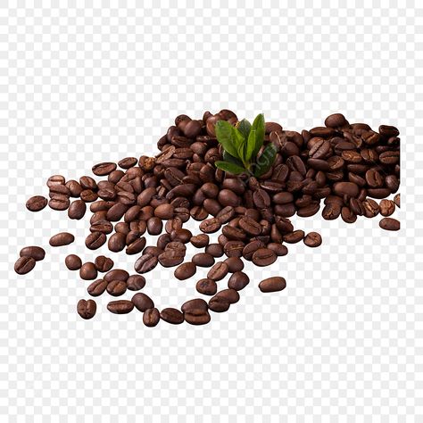 bunch of coffee raw coffee beans coffee beans coffee hot coffee ingredients png Raw Coffee Beans, Coffee Ingredients, Png Clipart, Coffee Beans, Hot Coffee, Vector Design, Transparent Background, Cafe, For Free