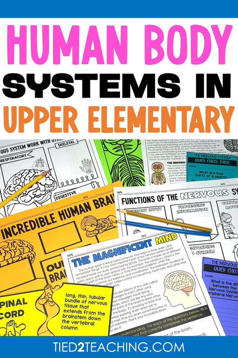 Engaging activities for teaching human body systems in upper elementary, including interactive diagrams, life-size models, and hands-on experiments. Body Systems Activities, Human Body Systems Projects, Body Systems Project, Body Study, Classroom Management Tips, Human Body Systems, Learning Ideas, World Problems, Creative Teaching