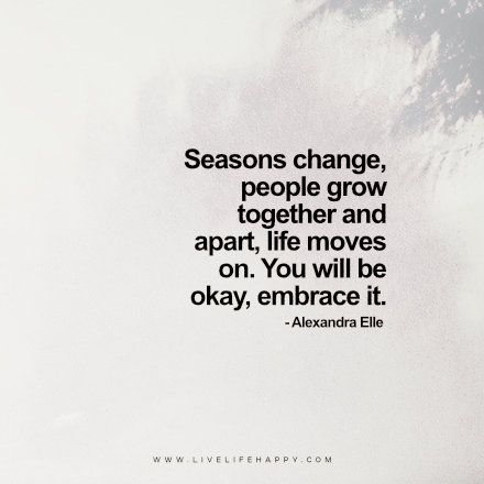 People Grow Together and Apart Seasonal People Quotes, Seasons Change Quotes Life, Seasons Change Quotes, People Change Quotes, Happy Quote, Together Quotes, Live Life Happy, Seasonal Changes, John Maxwell