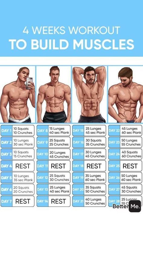 Daily follow all these routin and do workot without fail. And build your muscles only 4 weeks....<<<<....>>>>. 4 Week Workout, Full Body Workout Plan, Fitness Studio Training, Sixpack Workout, Best Workout Routine, Week Workout, Gym Workout Planner, Gym Antrenmanları, Workout Bauch