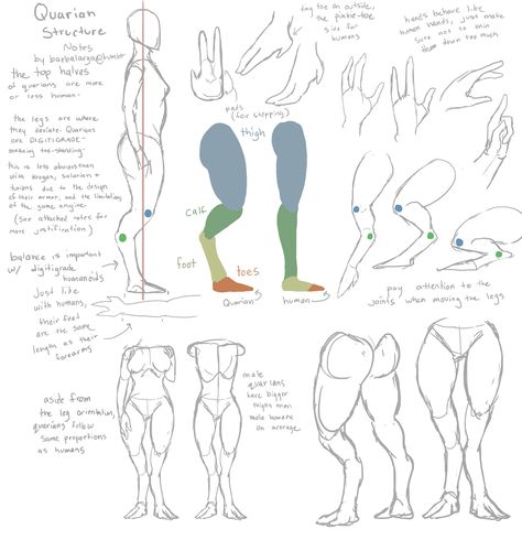 Digitigrade Legs Drawing Reference, Digitigrade Legs Drawing, Human Figure Drawing, Human Drawing, Art Folder, Monster Concept Art, Alien Art, Anatomy Drawing, Creature Concept Art