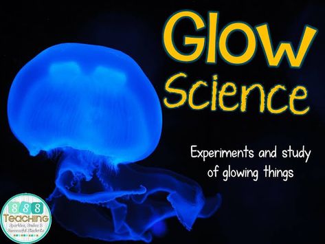 Bioluminescence Activities For Kids, Toddler Experiments, Elementary Experiments, Science Summer Camp, Stem Night, Summer Camping Ideas, Glow Games, Glow Day, Science Room