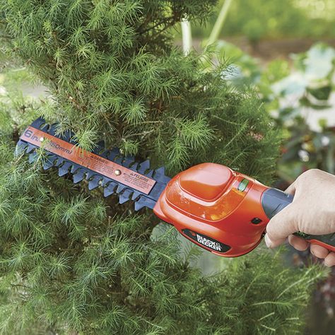 Best Battery-Powered Garden Tools: Lightweight and easy to use, you may fall in love with battery-powered garden tools. Here are 6 battery garden tools that make gardening easier. Battery Powered Chainsaw, Hosta Care, Repotting Orchids, Hedge Shears, Garden Problems, Best Garden Tools, Hedge Trimmers, Plants Decor, Japanese Maple