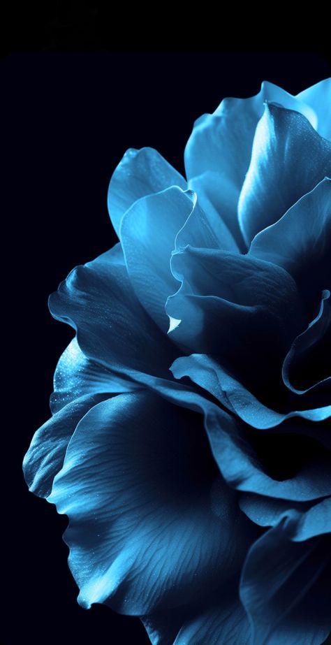 Blue Roses Wallpaper, Wallpapers For Phone, Blue Background Wallpapers, Dark Blue Flowers, Blue Flower Wallpaper, Dark Blue Wallpaper, Iphone Wallpaper Stills, Vintage Flowers Wallpaper, Flowery Wallpaper