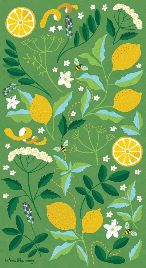 Floral patterns created for a tea packaging concept. Each design features the floral, herbal and fruit elements within each blend of tea. This is the 'Lemon & honey' tea which contains elderflower, lemon verbena leaf, liquorice root, sweet fennel seed and of course lemon and Manuka honey. ©SaraMulvannyIllustrationLtd Summer Botanical Illustration, Patterns On Packaging, Lemon Illustration Pattern, Herbal Tea Illustration, Botanical Packaging Design, Lemon Pattern Design, Seed Graphic Design, Lemon Packaging Design, Elderflower Illustration