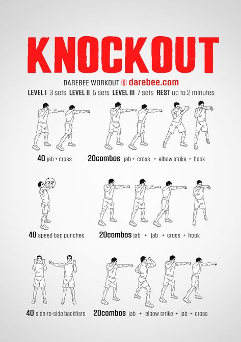 Knockout Workout Boxing Workout Plan, Shadow Boxing Workout, Boxing Workout Routine, Boxer Workout, Abs Workout Routine, Home Boxing Workout, Fighter Workout, Boxing Training Workout, Boxing Techniques