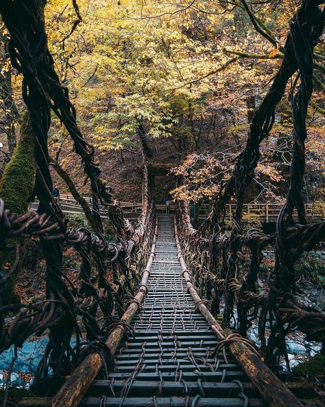 Tokushima, Tiny Village, Mountain Village, Visit Japan, 12th Century, Pretty Places, Holiday Destinations, In The Mountains, Japan Travel