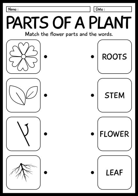 1st Grade Life Science Activity Sheets First Grade Worksheets Science, 1st Grade Plant Activities, Worksheets For Grade 1 Science, English For 1st Grade, 1st Grade Science Activities, 3rd Grade Science Activities, Science For Grade 1 Worksheets, Plants Worksheets For Kids, Science Grade 2 Worksheets