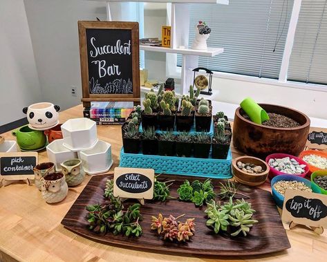 9,544 Likes, 269 Comments - Succulent City (@succulentcity) on Instagram: “The perfect party idea! ⠀ A Build Your Own Succulent Bar! ⠀ @addytude #succulentcity ⠀ Link in…” Succulent Bar, Terraria Party, Succulent Planting, Girls Night Crafts, Plant Party, Cactus Party, Plant Terrarium, Garden Birthday, Succulent Terrarium