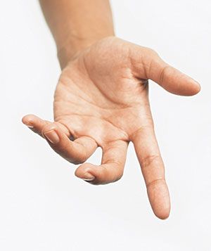 6179_40752_big.gif (300×357) Hand Fotografie, Hand References, Hands Reference, Hand Photography, Hand Drawing Reference, Hand Reference, Pencil Drawings Easy, Human Reference, Human Poses Reference