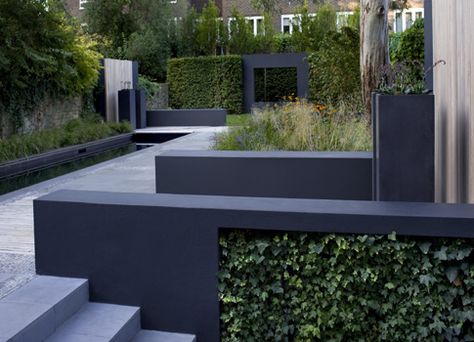 Hedge Wall Grey Rendered Garden Wall, Black Rendered Garden Walls, Coloured Rendered Garden Walls, Black Garden Wall, Rendered Garden Walls, Hedge Wall, Hill Garden, Black Ivy, Black Concrete