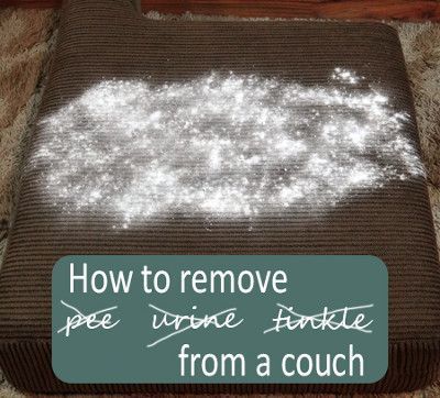 Clean Microfiber Couch, Homemade Toilet Cleaner, Microfiber Couch, Clean Baking Pans, Cleaning Painted Walls, Glass Cooktop, Deep Cleaning Tips, Pet Urine, Clean Dishwasher