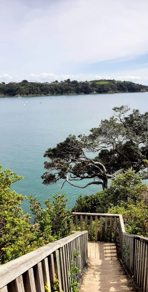 Stairs. Sea. Island. Waiheke Island. Trees. South Auckland Aesthetic, Waiheke Island New Zealand, Nee Zealand Aesthetic, New Zealand Aesthetic Wallpaper, New Zealand Aesthetic City, New Zealand Travel Aesthetic, Auckland New Zealand Aesthetic, Auckland Aesthetic, New Zealand Wallpaper