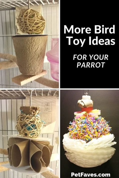 Diy Budgie Toys, Pet Cockatiel, Pet Enrichment, Toys For Birds, Conure Toys, Birds Toys, Homemade Bird Toys, Diy Parrot Toys, Handmade Bird Toys