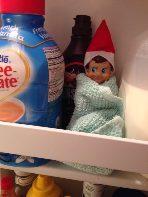 Hilarious Elf on the Shelf Ideas - The Girl Creative Eots Ideas, Elf On The Shelves, Elf Idea, Elf Ideas Easy, Elf Shelf, Shelf Elf, Awesome Elf On The Shelf Ideas, Elf Magic, Elf Activities