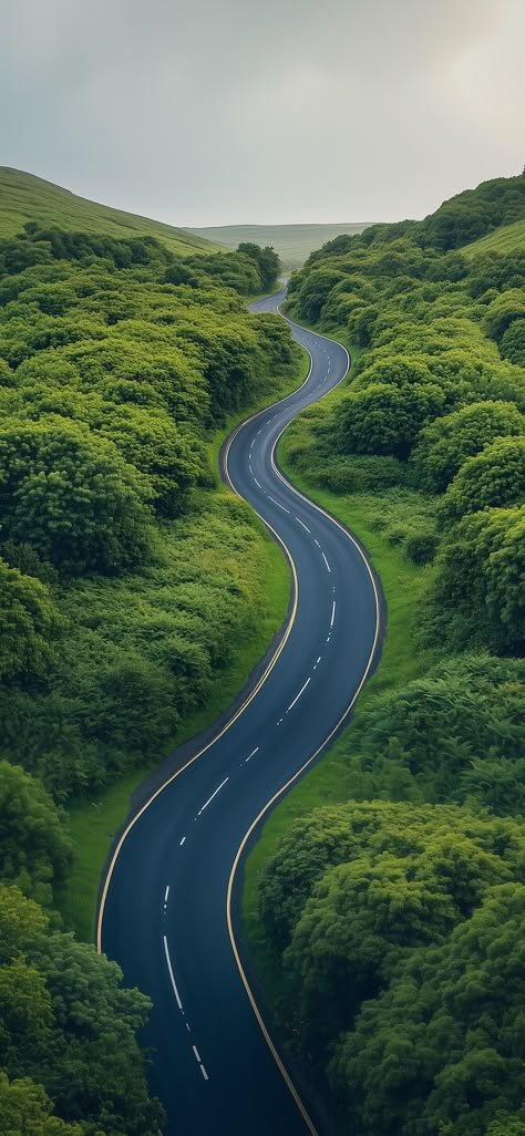 Road Png Background, Chair Poster Design, Full Hd Background Download, Exotic Wallpaper, Best Wallpaper For Mobile, Beautiful Wallpaper Images, View Background, Dreamy Nature, Wild Animals Videos