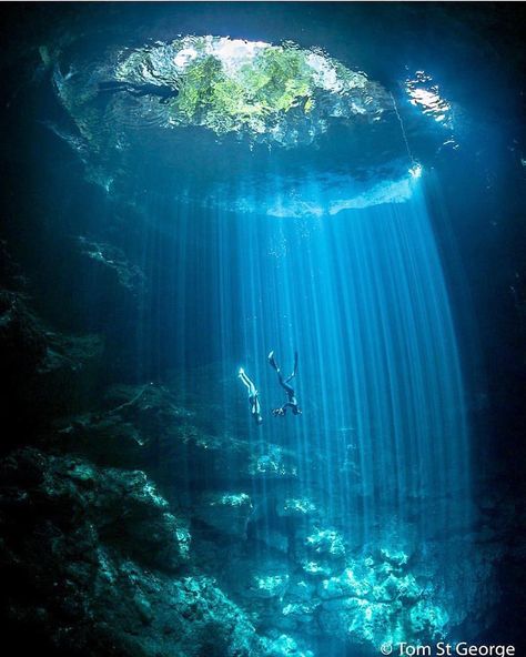 Dive into the one of the  world's deepest cave. Cenote El Pit, Mexico 📷 @tom.st.george #cave #nature #travel #sea #adventure #photography #explore #wanderlust #dive #sea #diving #underwater #love #instagood #beautiful #photooftheday #landscape #ocean #naturephotography #travelphotography #instatravel #bhfyp Underwater Caves, Cave Diving, Underwater Art, Underwater Photos, Underwater Photography, St George, Beautiful Places To Travel, Underwater World, Ocean Life