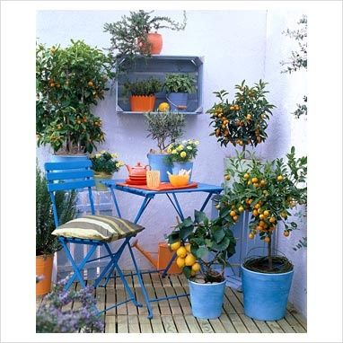 Balkon Decor, Balcony Plants, Small Balcony Ideas, Balcony Design, Balcony Ideas, Courtyard Garden, Small Patio, Terrace Garden, Small Balcony