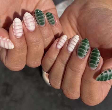 Green Snake Print Nails, Blooming Gel Croc Nails, Green Croc Print Nails, Green Blooming Gel Nails, Green Crocodile Nails, Fall Blooming Gel Nails, Short Croc Nails, Green Croc Nails, Blooming Gel Nail Art Ideas