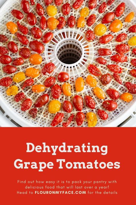 Dehydrating Grape Tomatoes to fill your food storage is an easy way to preserve fresh tomatoes so they last all year long. Dehydrating Tomatoes, Grape Tomato Recipes, Preserve Tomatoes, Dehydrating Food Storage, Dehydrated Fruits, Preserving Tomatoes, Tomato Dishes, Varieties Of Tomatoes, Dehydrated Vegetables