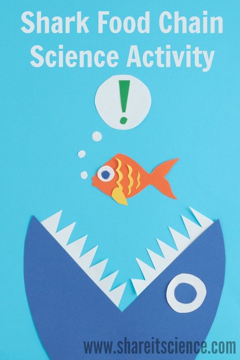 Get your kids or students moving with this #Shark Food Chain Science Activity. Perfect for school or home, #NGSS aligned and linked to a great #childrensbook. #Science #education that gets kids moving! Energy Transfer Activities, Shark Food, Food Chain Activities, Food Web Activities, Teaching Board, Food Webs, Ocean Food, Burr Oak, 1st Grade Science