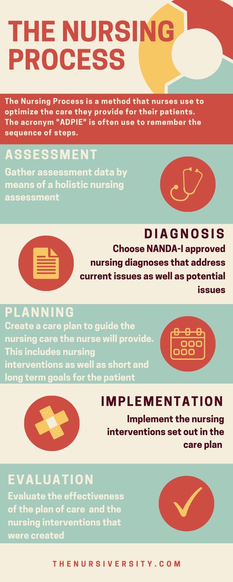 Practical Nursing Student Tips, Nursing Process Study Guide, School Nurse Quotes, Foundation Of Nursing, Nursing Infographic, Fetal Circulation, Infographic Process, Nursing Planner, Nursing Things