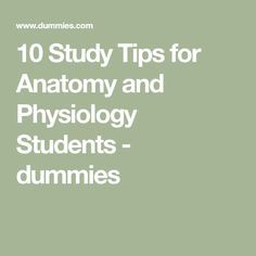 How To Study Anatomy, 10 Study Tips, Memorization Techniques, Medical Terminology Study, Veterinary School, Nursing Student Tips, Best Study Tips, How To Study, Human Anatomy And Physiology