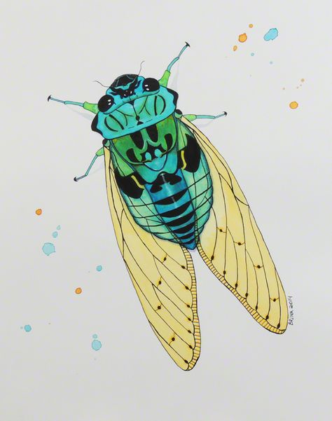 Cicada Watercolor, Unusual Insects, Cicada Art, Cicada Tattoo, Flower Vine Tattoos, Lee Jordan, Underboob Tattoo Designs, Bugs Embroidery, Lily Flower Tattoos