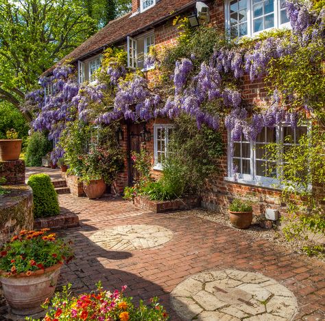 An ancient wisteria festoons 16th century Dipley Mill in Hampshire, United Kingdom Shadows Architecture, Cottage Aesthetic, Fotografi Vintage, Dream Cottage, Have Inspiration, Hus Inspiration, English Cottage, Garden Cottage, Alam Semula Jadi