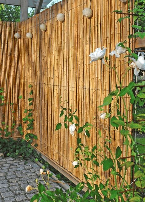 Bamboo Screen Garden, Bamboo Garden Fences, Garden Screen, Bamboo Privacy, Garden Privacy Screen, Garden Privacy, Back Garden Design, Backyard Privacy, Garden Screening