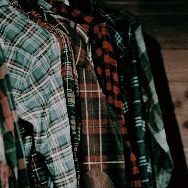 Charlie Swan, Yennefer Of Vengerberg, Cruel Summer, Bonnie Bennett, Tv Supernatural, Grunge 90s, Fashion Grunge, Fallout New Vegas, Plaid Shirts