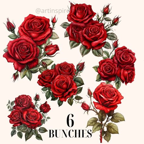 Red Rose Watercolor Clipart Bundle with 21 PNGS includes wreath , singles , rose buds and more! https://smpl.is/7xxnu Follow @artinspirestudio ( Instagram) Download Now 💕Etsy Shop https://smpl.is/7xxnv 💕TPT Store https://smpl.is/7xxnw Red Rose Watercolor, Rosé Theme, Rose Watercolor, Rose Clipart, Scrapbook Flowers, Flowers Drawing, Valentines Roses, Minute Maid, Rose Drawing