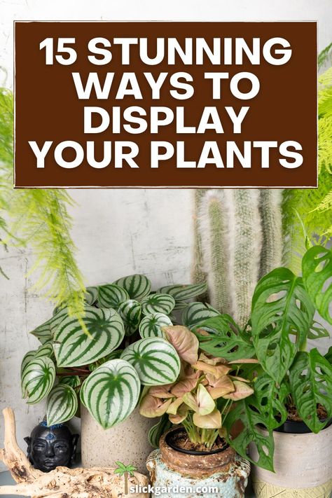 Homes With Lots Of Plants, Household Plants Decor, House Plants Set Up, Plant Small Space, How To Fit More Plants In A Room, Decor With Plants Indoors, Indoor Outdoor Garden, How To Put Plants In Your Home, Arranging Plants Indoors