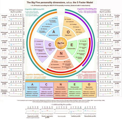 An innovative concept for the full Big Five personality spectrum derived from expert consensus ratings! Growing Mindset, Carl Jung Archetypes, Planet Astrology, Big 5 Personality, Disc Profile, Hand Reading, Big Five Personality Traits, Data Vizualisation, Personality Archetypes