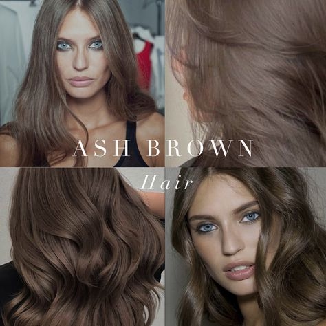 Cool toned hair inspiration from the Summer and Winter palettes 🤍 . #coloranalysis #winterpalette #summerpalette #coloranalyst #colouranalysis Medium Skin Hair Color, Cool Toned Hair, Cool Tone Brown Hair, Palette Hair Color, Cool Tone Hair Colors, Soft Hair Color, Cold Hair, Toned Hair, Skin Tone Hair Color