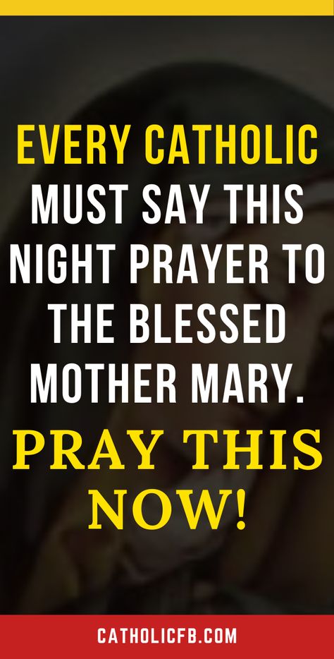 Catholic Night Prayers, Night Prayer Catholic, Mother Mary Quotes, 2024 Prayers, Manifestation Prayer, Catholic Devotions, Prayer Notebook, Mary Jesus Mother, Catholic Prayers Daily