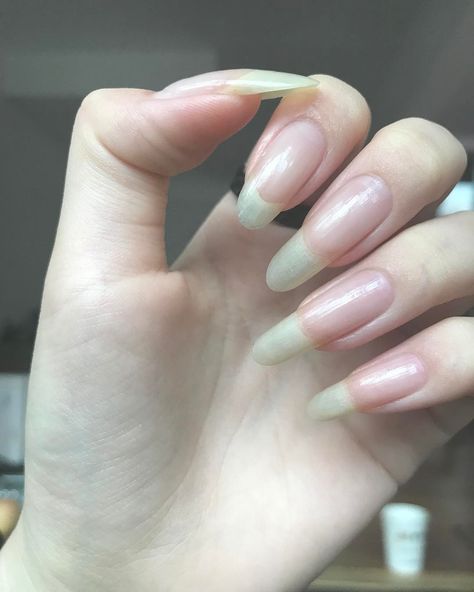 Long Natural Nails, Opal Nails, Long Fingernails, 4 Tattoo, Nail Growth, Soft Nails, Dream Nails, Healthy Nails, Makati