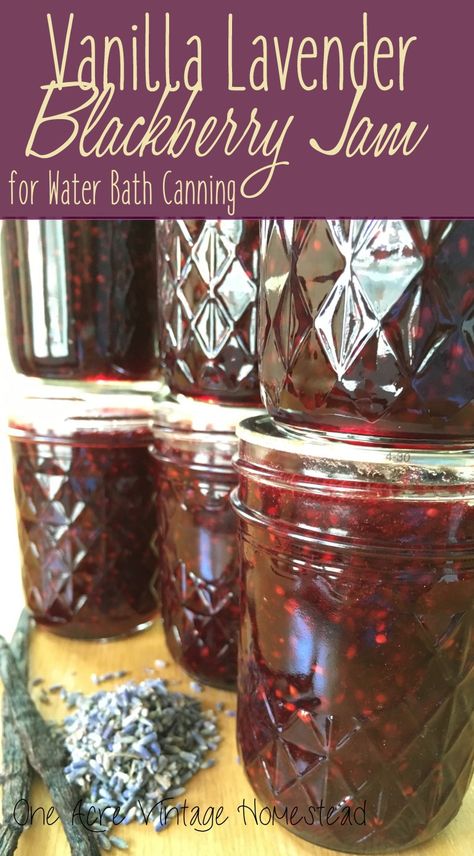 Blackberry Lavender Jam, Canning Carrots, Lavender Jam, Canning Jam Recipes, Vanilla Lavender, Lavender Recipes, Home Canning Recipes, Blackberry Recipes, Jam Recipes Homemade