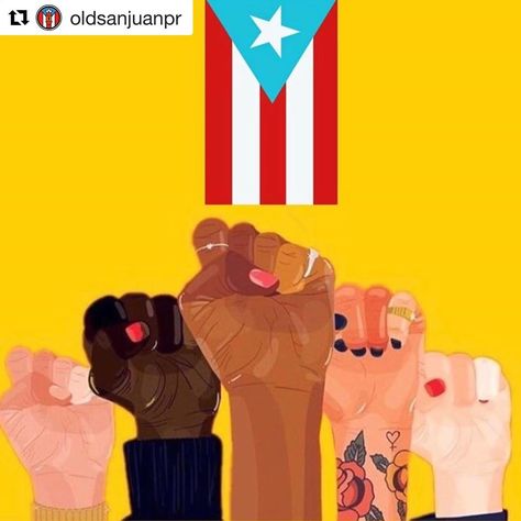 Puerto Rican Power, Puerto Rico Art, Puerto Rican Flag, Puerto Rican Pride, Puerto Rican Culture, Puerto Rico Flag, You Deserve Better, Deserve Better, My Heritage