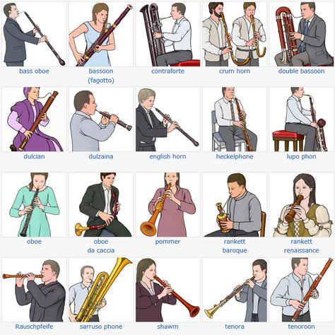 Basson Instrument, Woodwind Family, Musical Instruments Clipart, Orchestra Instruments, Music Basics, Music Terms, Music Teaching Resources, Woodwind Instrument, Band Jokes