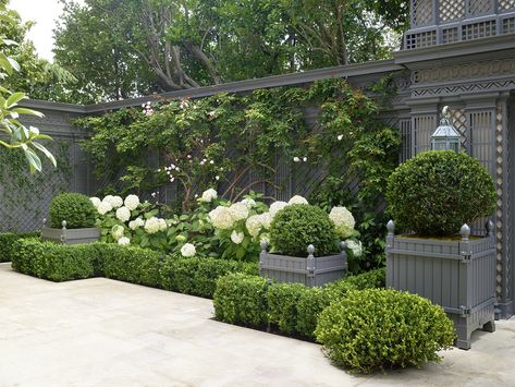 Colonial Backyard, Perimeter Garden, French Backyard, Classic Garden Design, French Garden Design, Contemporary Landscape Design, Formal Garden Design, Parterre Garden, Boxwood Garden