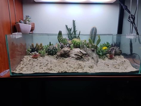 Cactus Aquarium, Bioactive Vivarium, Terrarium Tank, Beautiful Terrariums, Plant Room, Garden Indoor, Bonsai Art, Leopard Gecko, Vivarium