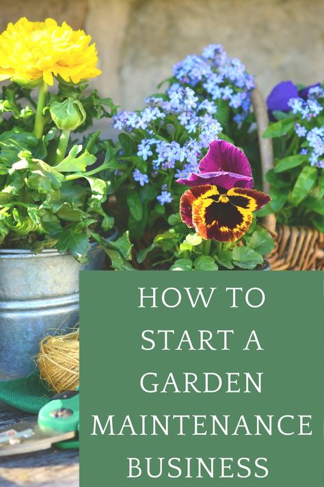 Here is my full guide on how to start your very own garden maintenance business and whether garden maintenance is the right career choice for you Gardening Business, Start A Garden, Landscaping Business, Starting A Garden, Garden Maintenance, Garden Equipment, Home Maintenance, Weeding, Gardening Tips