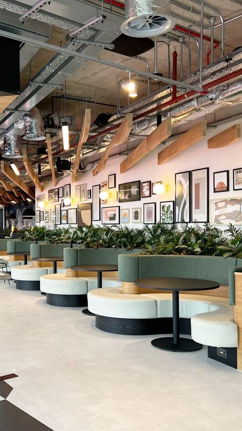 Beautiful planting within restaurant seating and floor standing Ficus and Kentias Restaurant Booth Seating Ideas, Restaurant Feature Wall, Booth Seating Design, Booth Seating Restaurant, Built In Booth, Biophilic Office, Banquette Seating Restaurant, Restaurant Banquette, Restaurant Mexicano