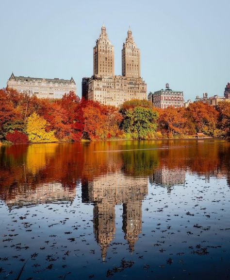 New York Facts, Central Park New York City, Urban Heat Island, New York City Aesthetic, Nyc Park, Nyc Girl, Urban Park, New York Aesthetic, Autumn Scenes