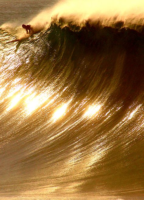 Waimea on an almost-Eddie day in  December Bild Gold, Big Wave Surfing, Gold Aesthetic, Surf Life, Surfing Waves, Shades Of Gold, Yellow Aesthetic, Big Waves, Surfs Up