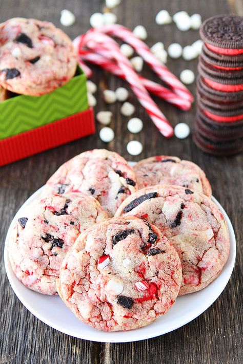 Oreo White Chocolate Pudding Peppermint Cookies Recipe on twopeasandtheirpod.com  Love these festive cookies! Peppermint Cookies Recipe, Oreo White Chocolate, White Chocolate Pudding, Peppermint Cookie Recipe, Peppermint Recipes, Cookie Exchange Recipes, Peppermint Christmas, Pudding Cookies, Festive Cookies