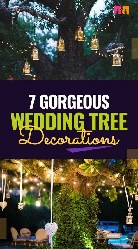 Wedding tree decorations signify one thing: Weddings are not just about ceremonies, they are also a way to celebrate the bride and groom who are about to tie the nuptial knot. Almost every girl dreams to have a fairy tale wedding, ever since her childhood. How To Decorate A Tree For A Wedding, Tree Decorations For Wedding, Wedding Under Tree, Wedding Tree Decor, Tree Lights Wedding, Wedding Ceremony Tree, Wedding Under Trees, Tree Decor Wedding, Lanterns In Trees